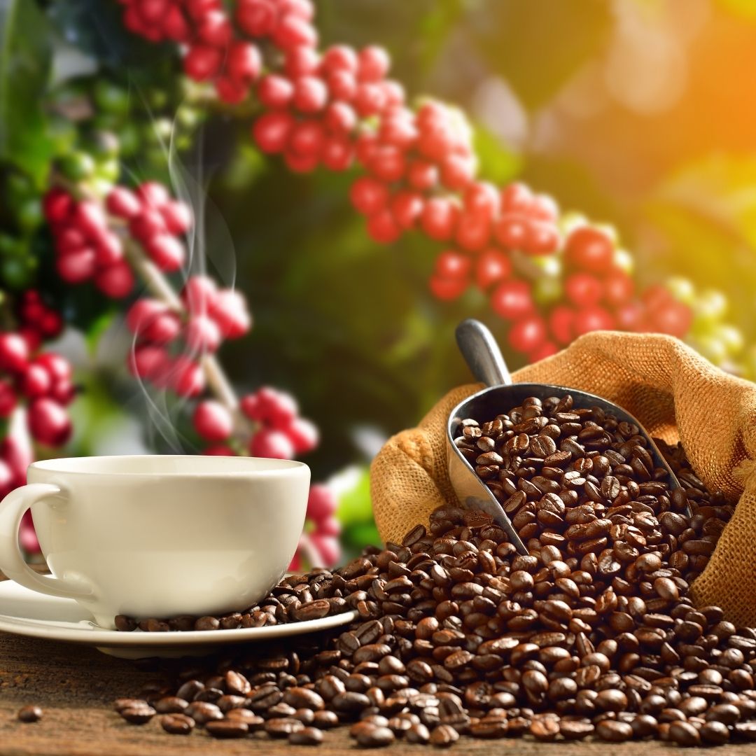 coffee
