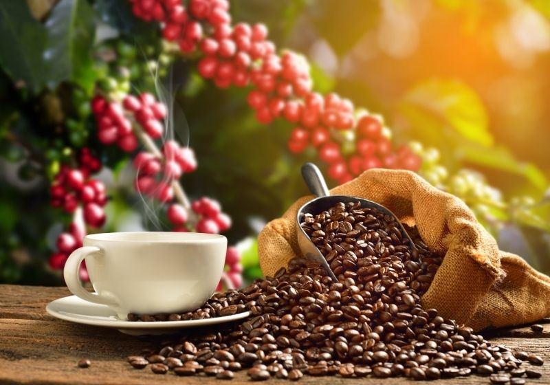 coffeeinfo