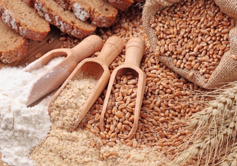 wheatinfo